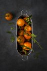 Fresh tangerines with stems and leaves in metal pan on dark background — Stock Photo