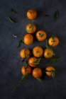 Tangerines with stems and leaves on dark background — Stock Photo