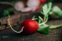Closeup of fresh radish on wooden background — Stock Photo