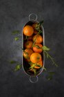 Свежие мандарины со стеблями и листьями в металлической сковороде на темном фоне — стоковое фото