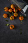 Mandarini con fusti e foglie che cadono pentola di metallo su sfondo scuro — Foto stock