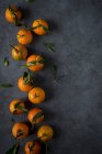 Fresh ripe tangerines with stems and leaves on dark background — Stock Photo
