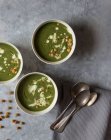 Ciotole con zuppa di spinaci, cavolo e crema di finocchio su superficie grigia — Foto stock