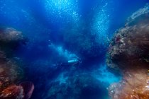 Person taucht zwischen Riffen unter Wasser — Stockfoto