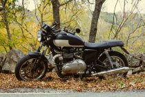 Cafe racer motorbike parked on a road between trees in autumn — Stock Photo