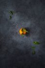 Mandarina fresca con tallo y hojas sobre fondo oscuro - foto de stock