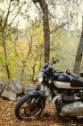 Café piloto moto estacionado em uma estrada entre árvores no outono — Fotografia de Stock