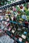 Bunch of various love padlocks hanging on net fence on blurred background of green park — Stock Photo