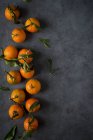 Mandarini freschi maturi con steli e foglie su fondo scuro — Foto stock