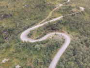 Vista aérea da estrada rural sinuosa através da floresta verde — Fotografia de Stock