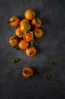 Mandarino con fusti e foglie su fondo scuro — Foto stock