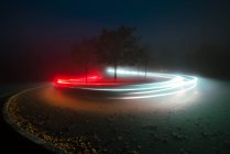 Luzes de trilha brilhantes entre árvores e névoa à noite no campo — Fotografia de Stock