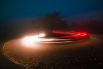Яскраві сліди світла між деревами і туманом ввечері в сільській місцевості — стокове фото