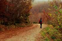 Back view of lady in red jacket walking along path in beautiful forest on amazing autumn weather — Stock Photo