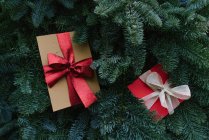 Зверху знімок двох різдвяних подарункових коробок, що лежать на зелених гілочках хвойного дерева — стокове фото