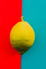 Frische reife Zitrone auf leuchtend rotem und blauem Hintergrund — Stockfoto