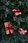 Vue du dessus de deux boîtes cadeaux de Noël couchées sur des brindilles vertes de conifères — Photo de stock