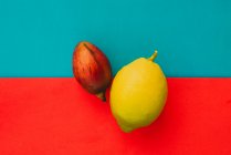 Tamarillo fresco intero e limone maturo su sfondo rosso e blu brillante — Foto stock