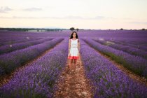 Junge Frau steht zwischen Reihen violetten Lavendelfeldes — Stockfoto