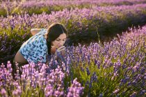 Atractiva señorita oliendo hermosas flores púrpuras en el campo de lavanda - foto de stock