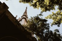 Vue d'en bas des branches d'arbre vert et de la flèche de l'ancien bâtiment sur fond de ciel bleu sans nuages à Londres, Angleterre — Photo de stock