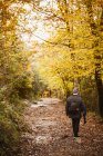 Back view of adult male with tripod walking on alley near trees with yellow leaves in park in Barcelona, Spain — Stock Photo