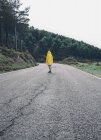 Vista posteriore dell'impermeabile umano in giallo sulla strada di campagna che corre vicino alla collina con foresta in Isoba, Castiglia e Leon, Spagna — Foto stock