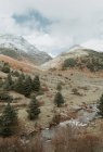 Pintoresca vista del valle con bosques de coníferas y maravillosas montañas en la nieve en los Pirineos - foto de stock