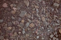 Hintergrund aus kleinen nassen groben Steinen — Stockfoto