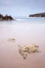Чудова морська прокатка біля берега в похмурий день — стокове фото
