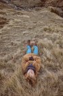 Criança deitada na grama seca perto do riacho — Fotografia de Stock