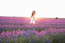 Young woman standing between violet lavender field in backlit — Stock Photo