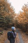 Vista lateral de uma senhora de chapéu e casaco de esqui com mochila e bengala no caminho entre a floresta de outono em Isoba, Castela e Leão, Espanha — Fotografia de Stock