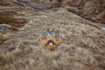 Дитина в теплому одязі лежить на сухій траві на схилі пагорба біля крихітного струмка в осінній сільській місцевості — стокове фото