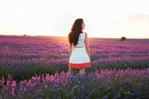 Frau steht bei Sonnenuntergang zwischen großen violetten Lavendelfeldern — Stockfoto
