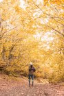 Senhora de chapéu e casaco de esqui com mochila e bengala segurando câmera ao nível do rosto no caminho entre a floresta de outono em Isoba, Castela e Leão, Espanha — Fotografia de Stock