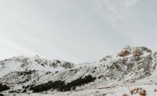 Pittoresca vista sulle alte montagne con alberi nella neve nei Pirenei — Foto stock