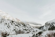 Vue pittoresque de hautes montagnes avec des arbres dans la neige dans les Pyrénées — Photo de stock