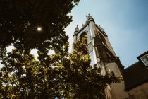 Da sotto colpo di sole splendente sul cielo senza nuvole sopra vecchi edifici e alberi verdi a Londra, Inghilterra — Foto stock