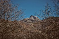 Чудовий вид на високі снігові гори і дерева на пагорбах — стокове фото