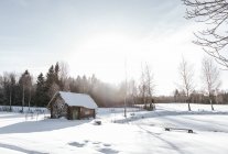 Altes Holzhaus zwischen Schneewiese in Waldnähe bei sonnigem Wetter in Vilnius, Litauen — Stockfoto