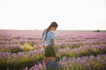 Молода жінка ходить між фіолетовим лавандовим полем — стокове фото