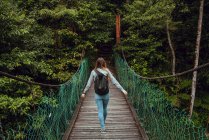 Vue de dos jeune dame mince avec sac à dos va sur le pont suspendu aux bois exotiques verdoyants en Malaisie — Photo de stock