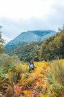 Señora con mochila que va entre la hierba amarilla y la pintoresca vista de las montañas con bosque y esquí nublado en Isoba, Castilla y León, España - foto de stock