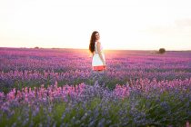 Jovem mulher entre campo de lavanda violeta — Fotografia de Stock
