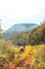 Señora con mochila que va entre la hierba amarilla y la pintoresca vista de las montañas con bosque y esquí nublado en Isoba, Castilla y León, España - foto de stock