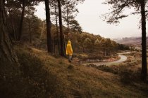 Seitenansicht des Menschen im gelben Regenmantel auf einem Hügel zwischen Wald und Blick auf Land mit Straße in Isoba, Kastilien und León, Spanien — Stockfoto