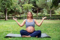 Pregnant attractive woman meditating on mat in park — Stock Photo