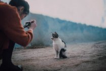Mujer tomando disparo de gato sin hogar - foto de stock