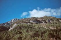 Голубое небо с небольшим облаком над величественной скалистой горой с деревьями — стоковое фото